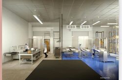 Ct Foodnex (D25), Factory #465239701